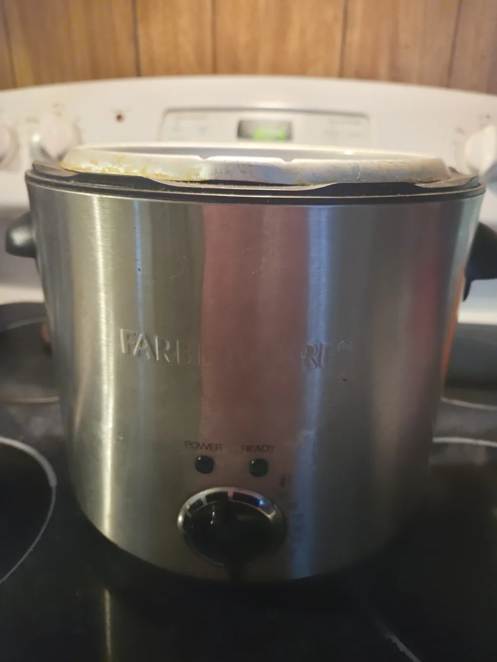 Farberware Stainless Steel Electric Fryer– Silver